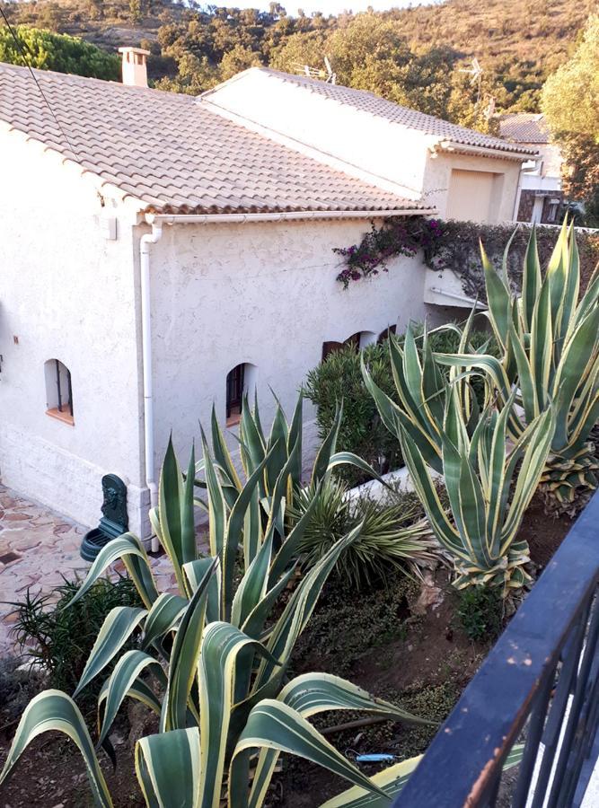 Appartements Dans Villa En Rez De Jardin Hyères Zewnętrze zdjęcie