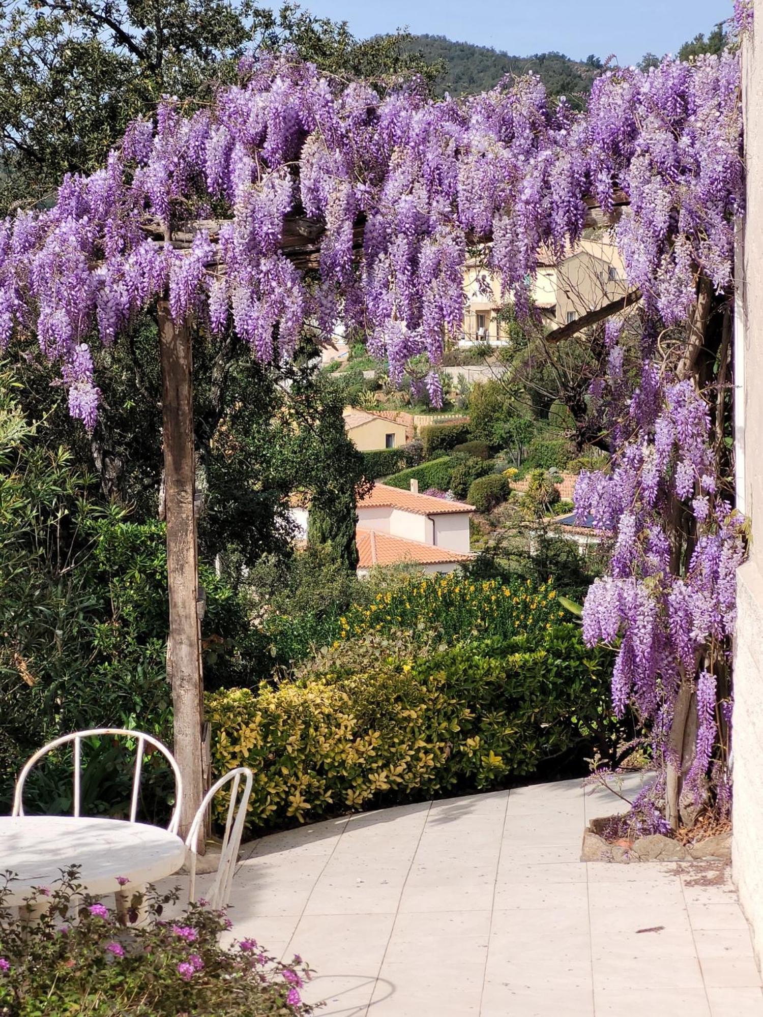 Appartements Dans Villa En Rez De Jardin Hyères Zewnętrze zdjęcie